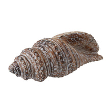 Dimond Home Decorative Wooden Conch Shell