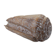 Dimond Home Decorative Wooden Conch Shell