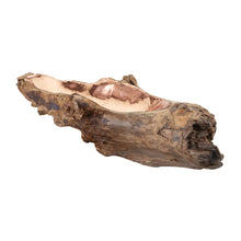 Dimond Home Teak Root Bowl With Copper Insert