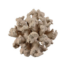 Dimond Home Gnarl Decorative Cluster