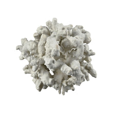 Dimond Home Gnarl Decorative Cluster