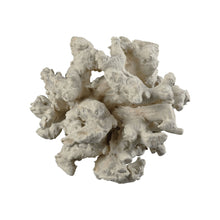 Dimond Home Gnarl Decorative Cluster
