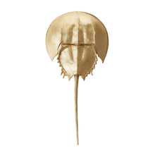 Dimond Home Mica Horseshoe Crab