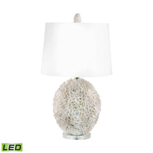 Dimond Lighting Hand Applied Natural Shells Table Lamp