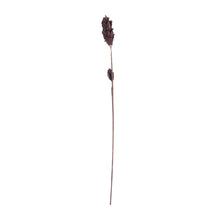 Dimond Home Black Corn Leaf Pole