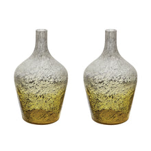 Dimond Home Ombre Bottle - Set Of 2