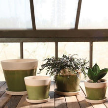 Begonia Ceramic Cachepot