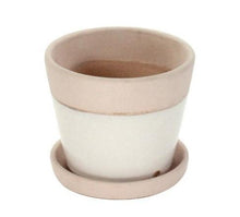 Begonia Ceramic Cachepot