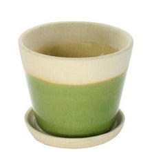 Begonia Ceramic Cachepot