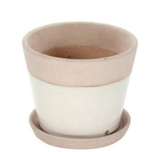 Begonia Ceramic Cachepot