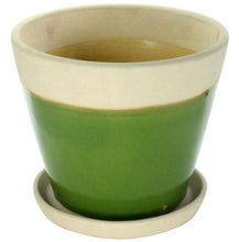 Begonia Ceramic Cachepot