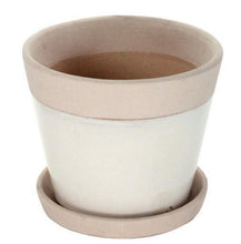 Begonia Ceramic Cachepot