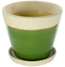 Begonia Ceramic Cachepot