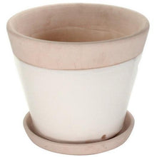 Begonia Ceramic Cachepot