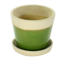 Begonia Ceramic Cachepot