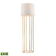 Dimond Lighting Barrel Frame Floor Lamp in Gold Leaf Finish