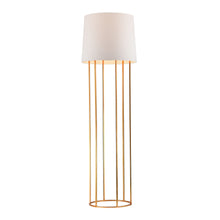 Dimond Lighting Barrel Frame Floor Lamp in Gold Leaf Finish