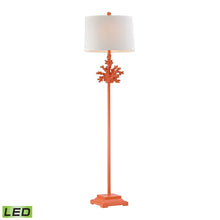 Dimond Lighting Coral Floor Lamp